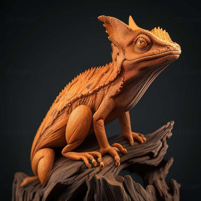 3D модель Campyloneurus brachyurus (STL)